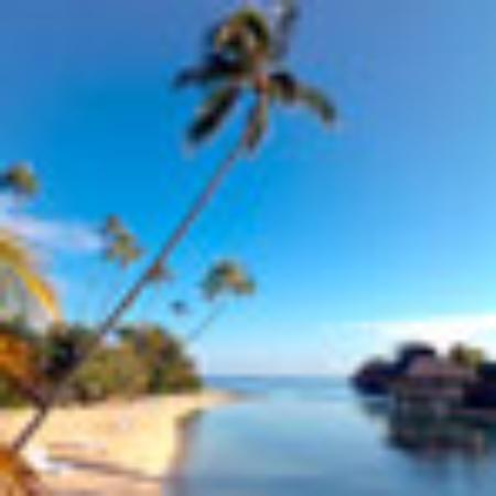 Pizzeria Fratelli Pomodoro